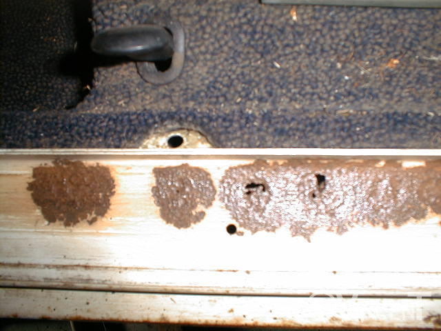 Corrosion perforante, seuil de porte conducteur